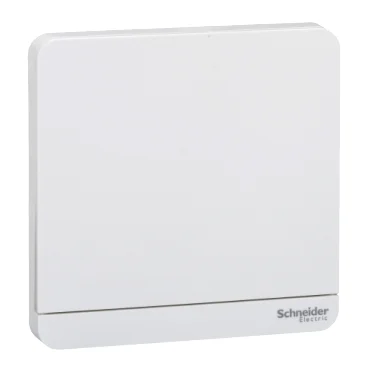 SCHNEIDER E8331PRL1_WE AvatarOn Time Delay Switch – 4A, 250V