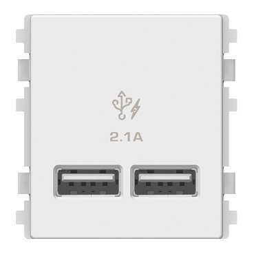 Schneider electric - 2 Ports 2.1A USB, 2 Modules Size, White - 8432USB_WE