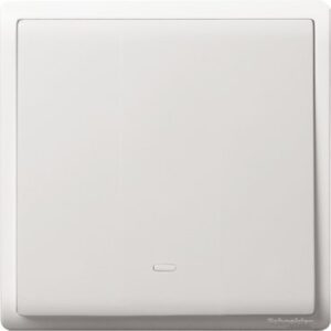 E8231PRL1F_WE-Pieno - 10A 250V - 1 gang momentary switch with fluorsecent locator