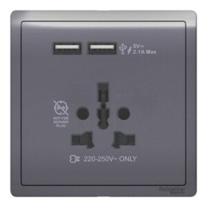 Schneider Pieno 16A International Socket with 2.1A USB, Lavender Silver - E8242616USB_LS
