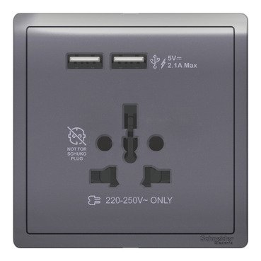 Schneider Pieno 16A International Socket with 2.1A USB, Lavender Silver - E8242616USB_LS