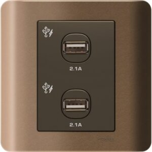 SCHNEIDER E8432USB_SZ-ZENcelo 2x2.1A USB Charger Silver Bronze