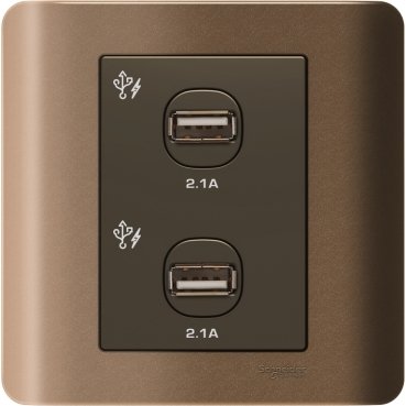 SCHNEIDER E8432USB_SZ-ZENcelo 2x2.1A USB Charger Silver Bronze