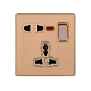 Switched socket with neon