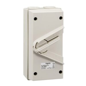 SCHNEIDAR WHD35_GY-Kavacha - 35A - 440V - Surface Mount Double Pole Isolating Switch - IP66