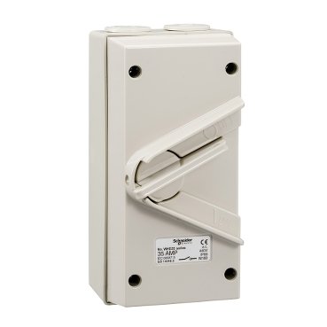 SCHNEIDAR WHD35_GY-Kavacha - 35A - 440V - Surface Mount Double Pole Isolating Switch - IP66